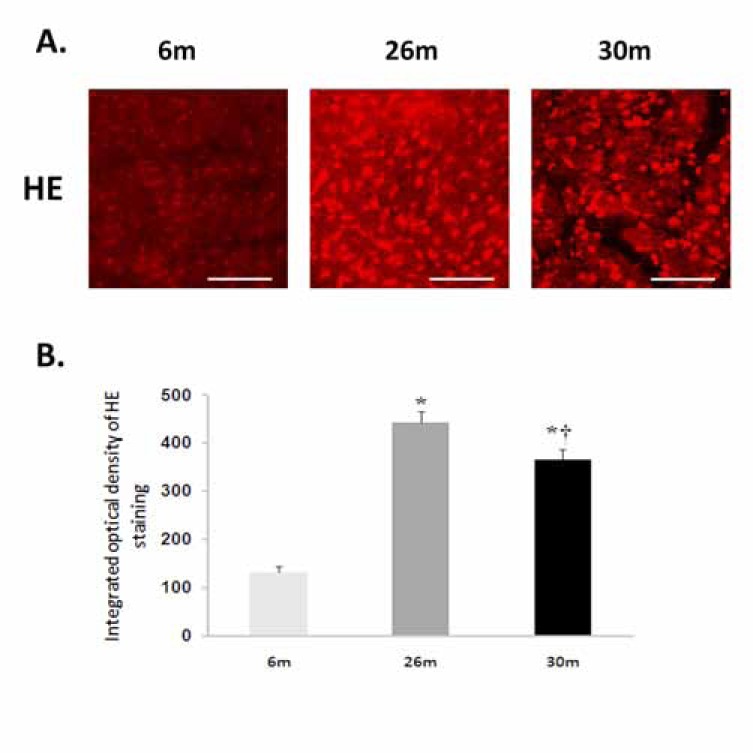 Fig. (1)