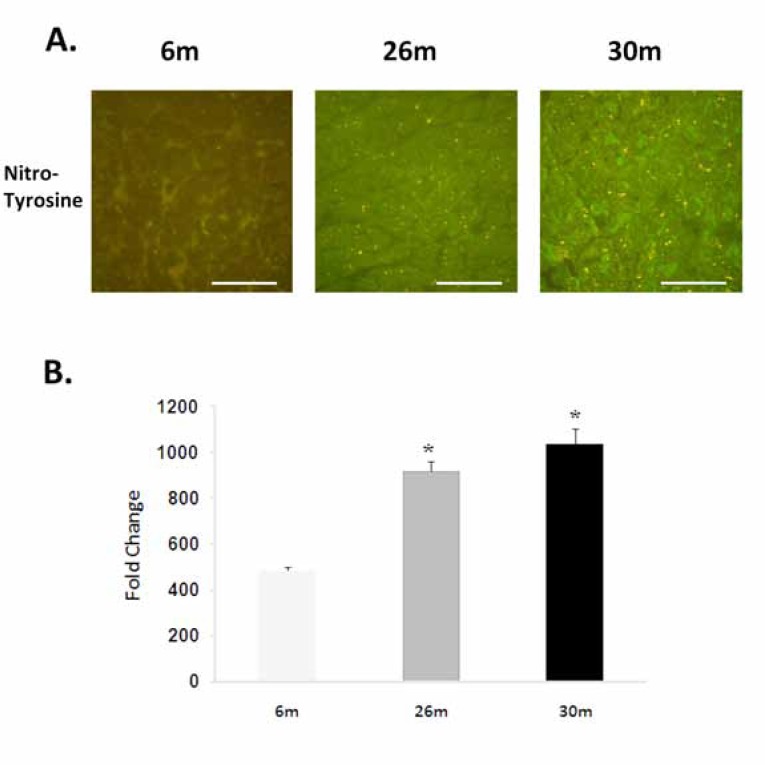 Fig. (2)