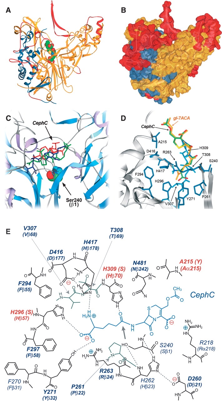 Figure 2.