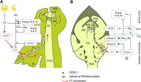 Figure 10.