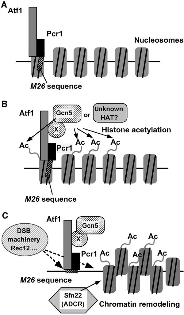 Figure 7