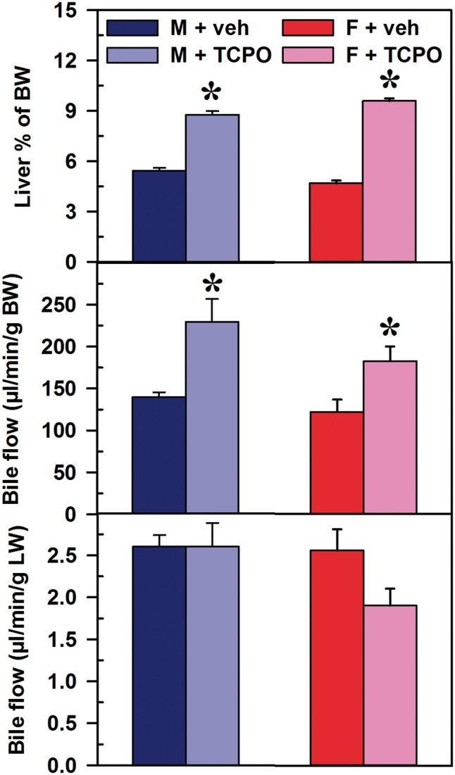 FIG. 7.