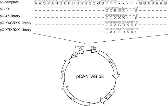 FIGURE 1.