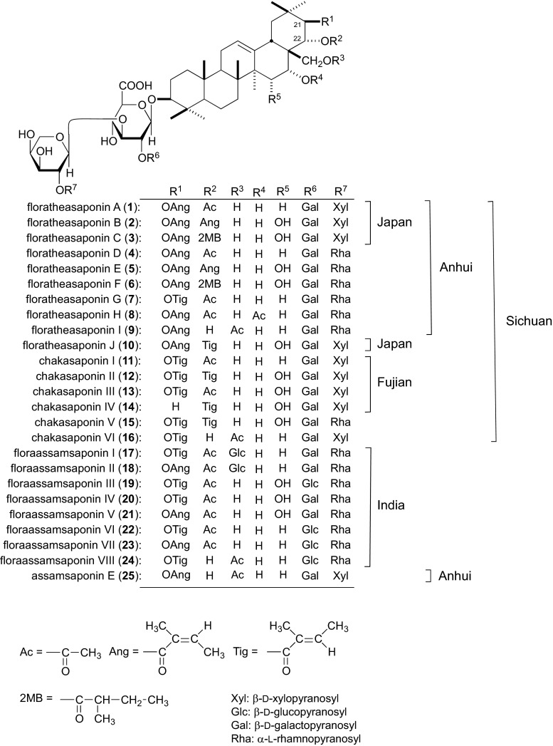 Fig. 1