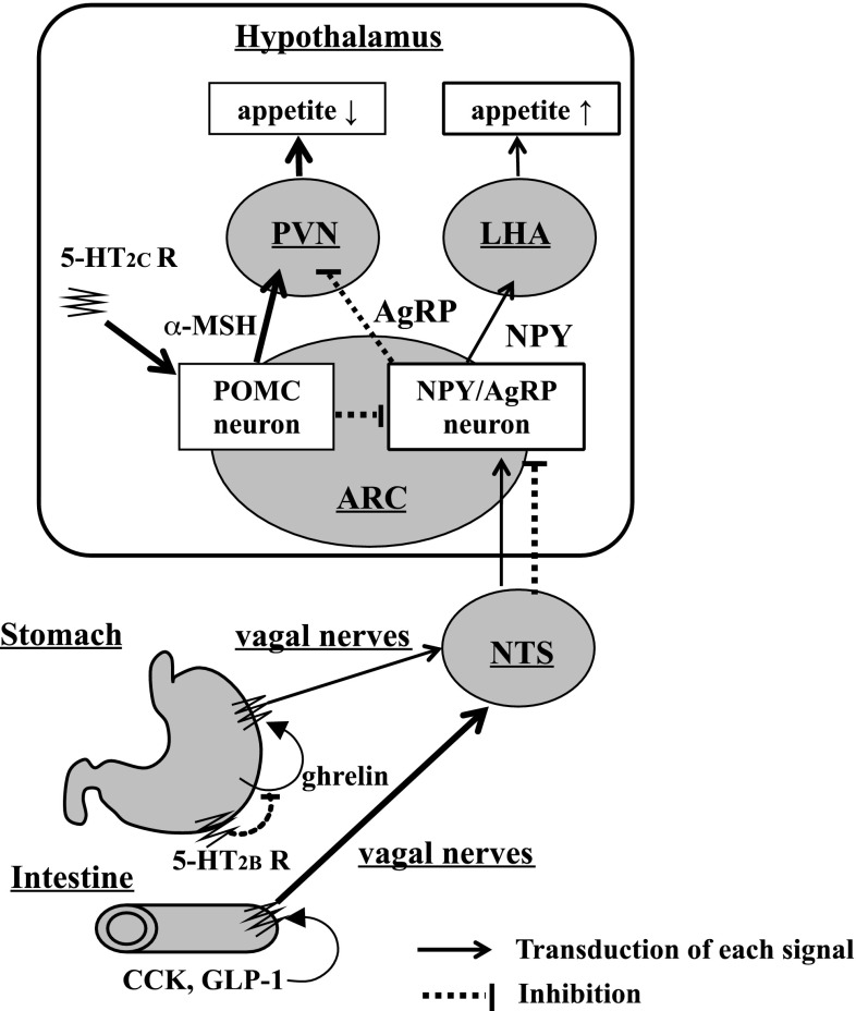 Fig. 6