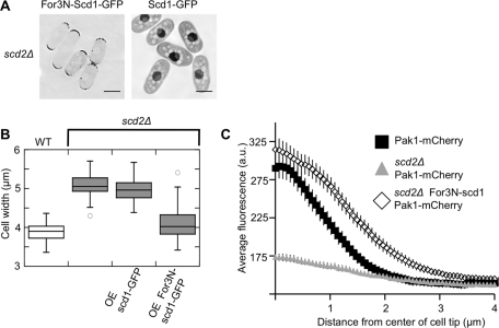 FIGURE 6: