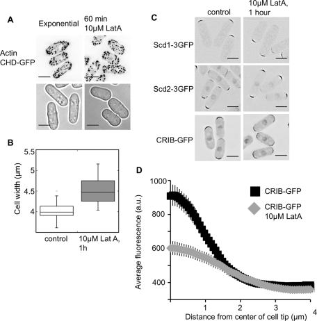 FIGURE 9: