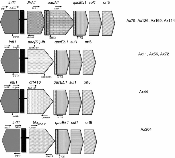 Fig. 1