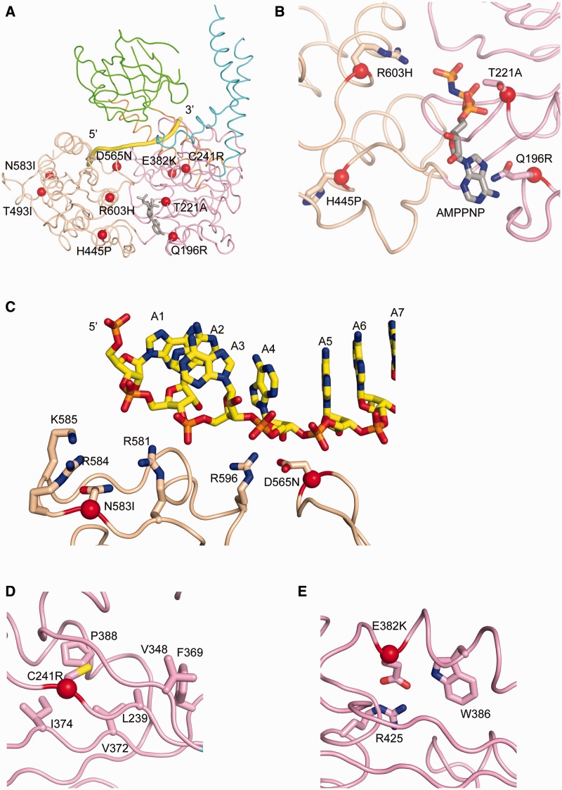 Figure 6.