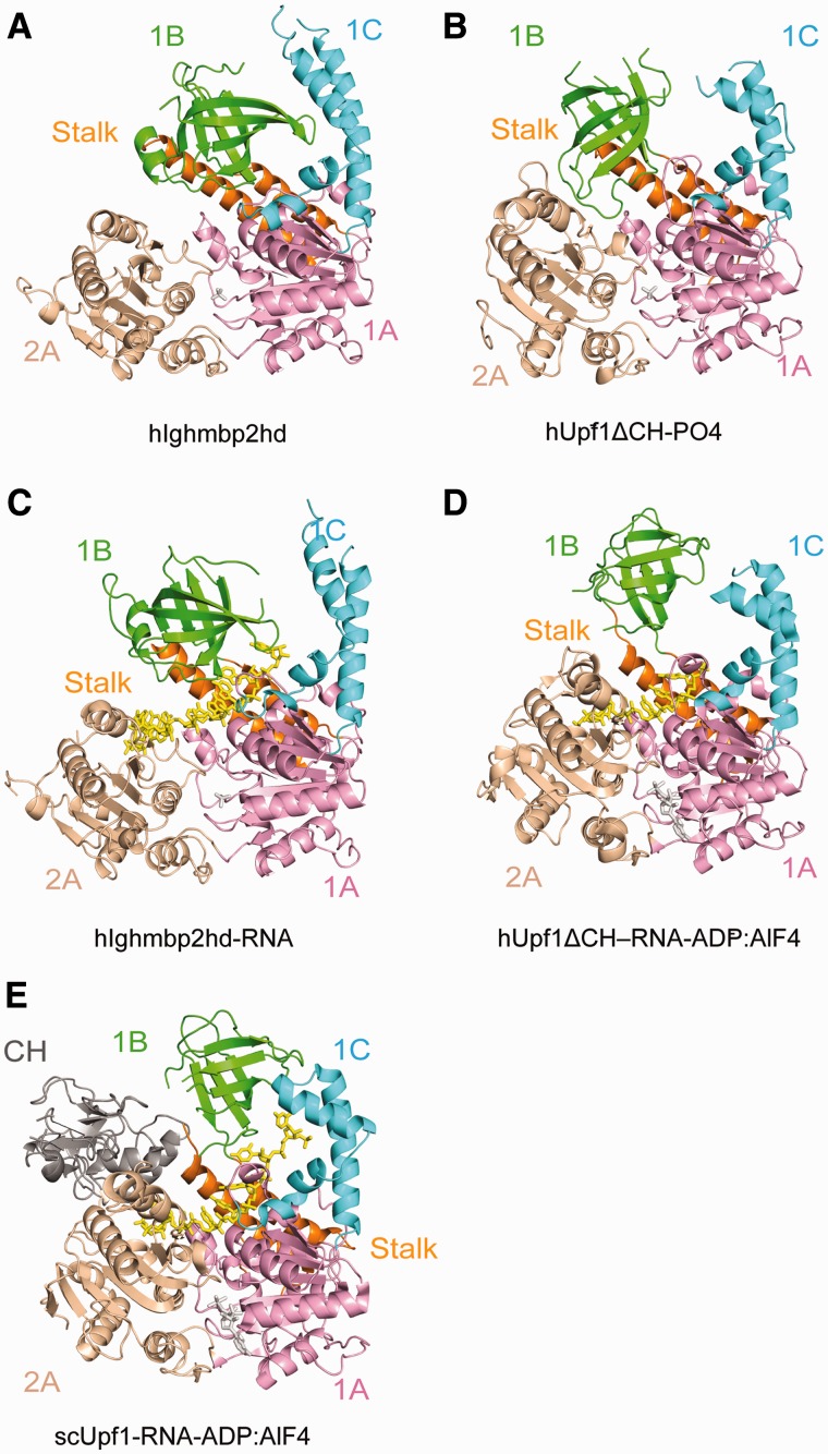 Figure 4.