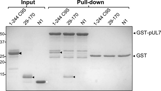 FIG 2