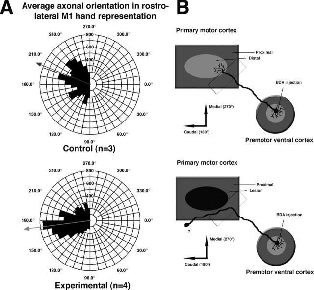 
Figure 10.
