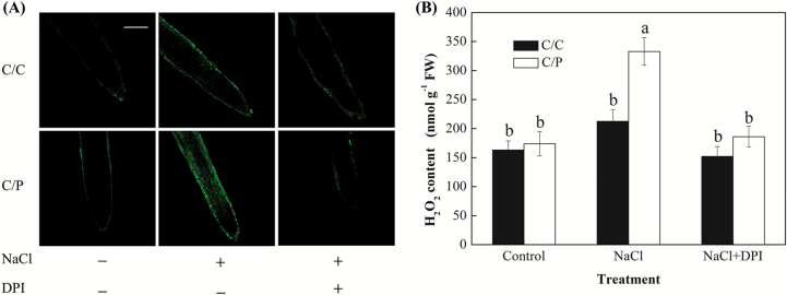 Fig. 4.