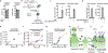 Figure 2 |