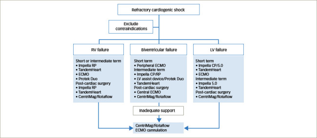 Figure 3: