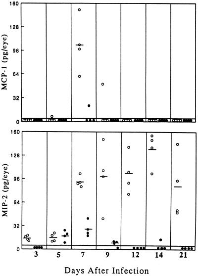 FIG. 5