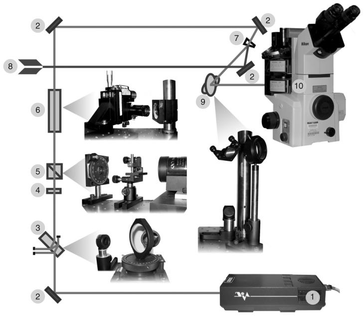 Fig. 9