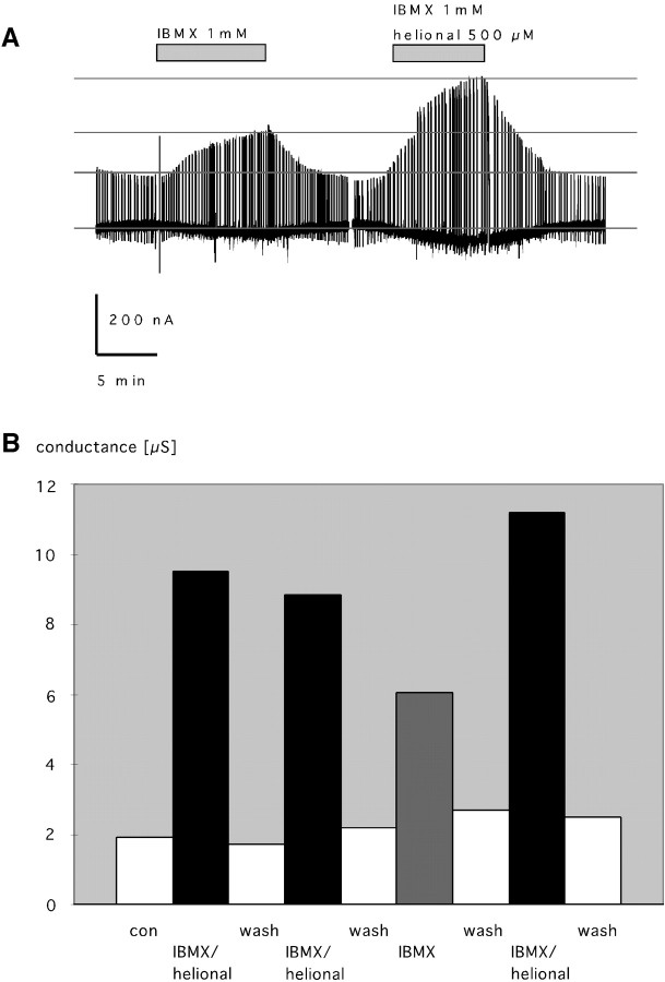 Fig. 6.