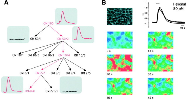 Fig. 3.