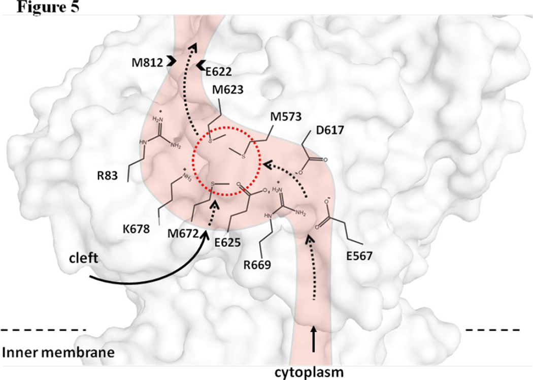 Figure 5