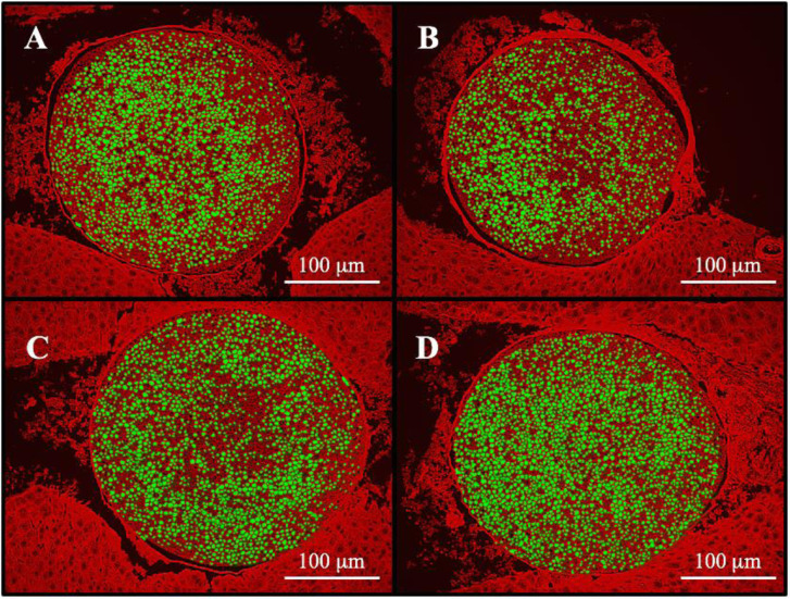 Fig. 3.