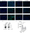 FIG 11