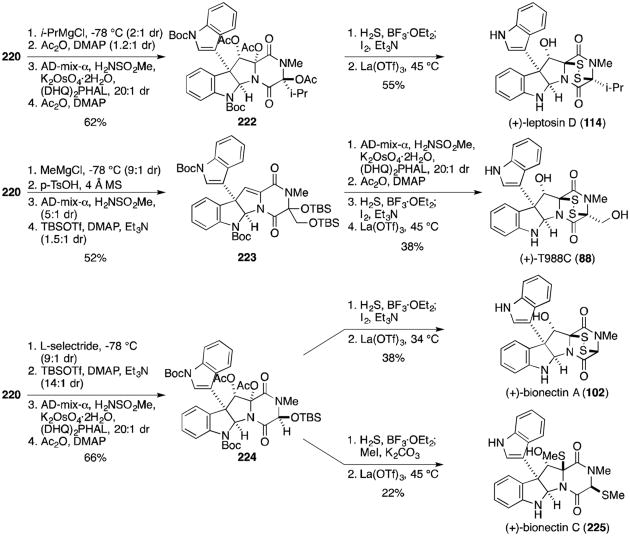 Scheme 19