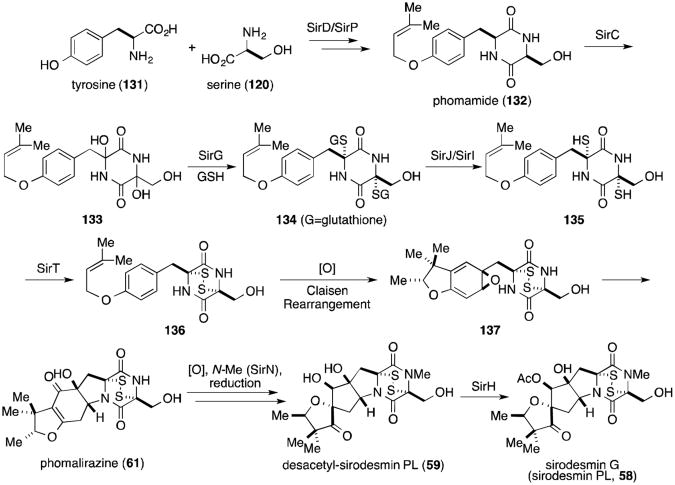 Scheme 3