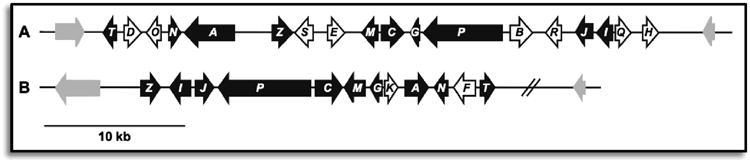 Figure 23