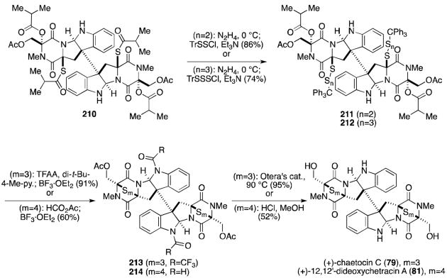 Scheme 17