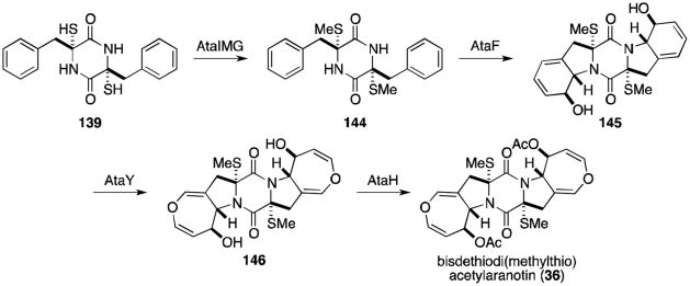 Scheme 5