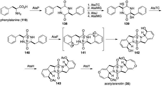 Scheme 4