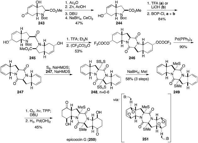 Scheme 23