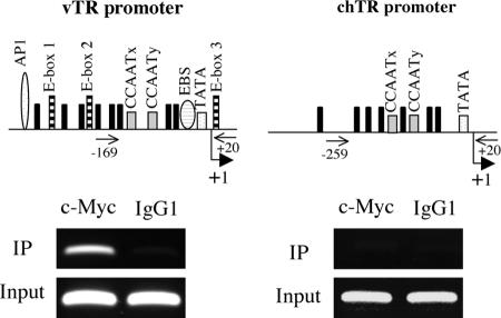 FIG. 7.