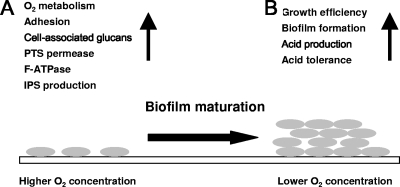 FIG. 10.