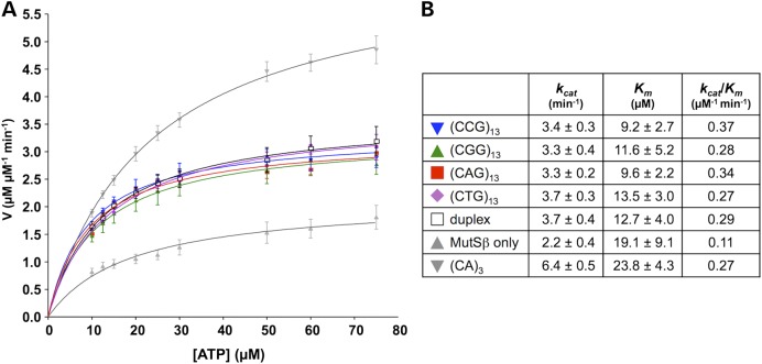 Figure 5.