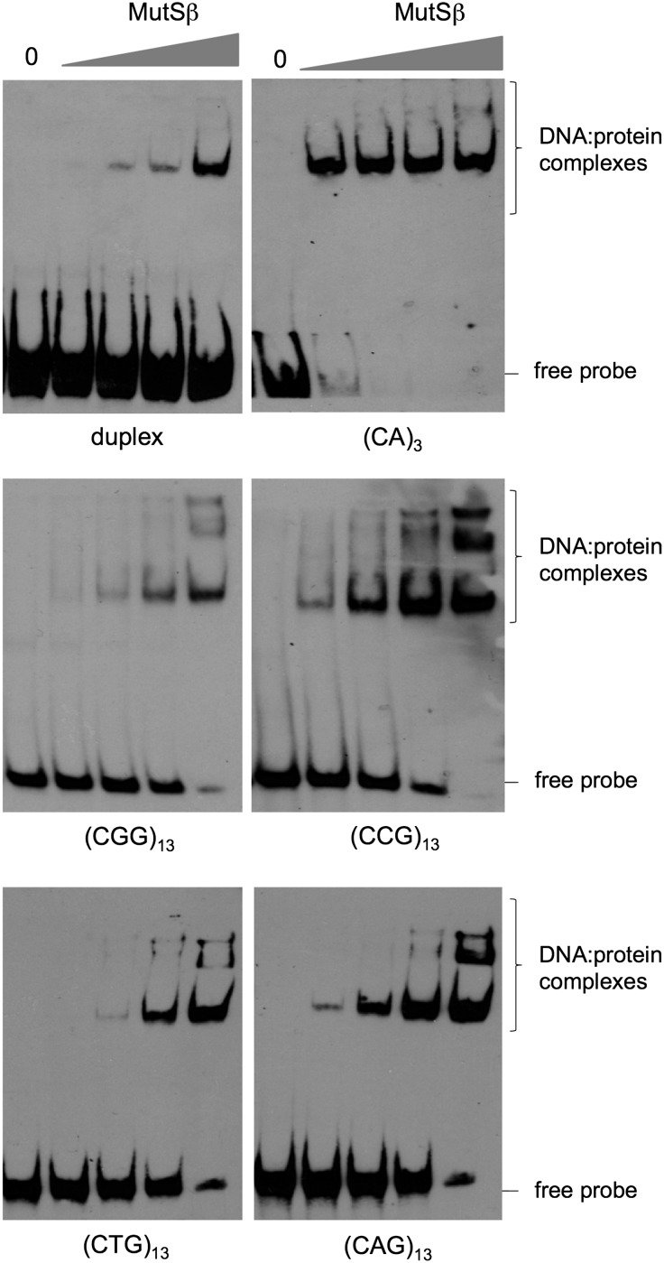 Figure 4.