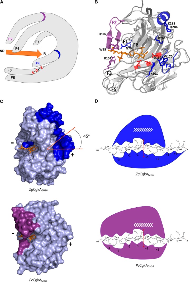 Figure 6.