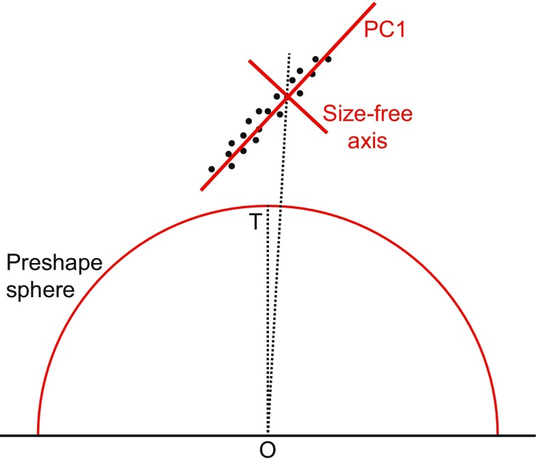 Fig. 13