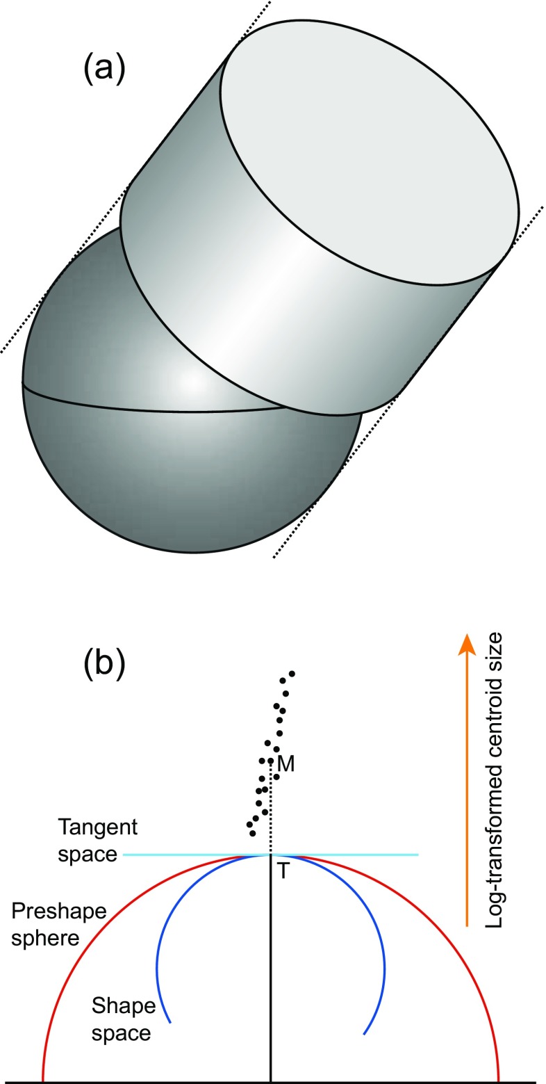 Fig. 9