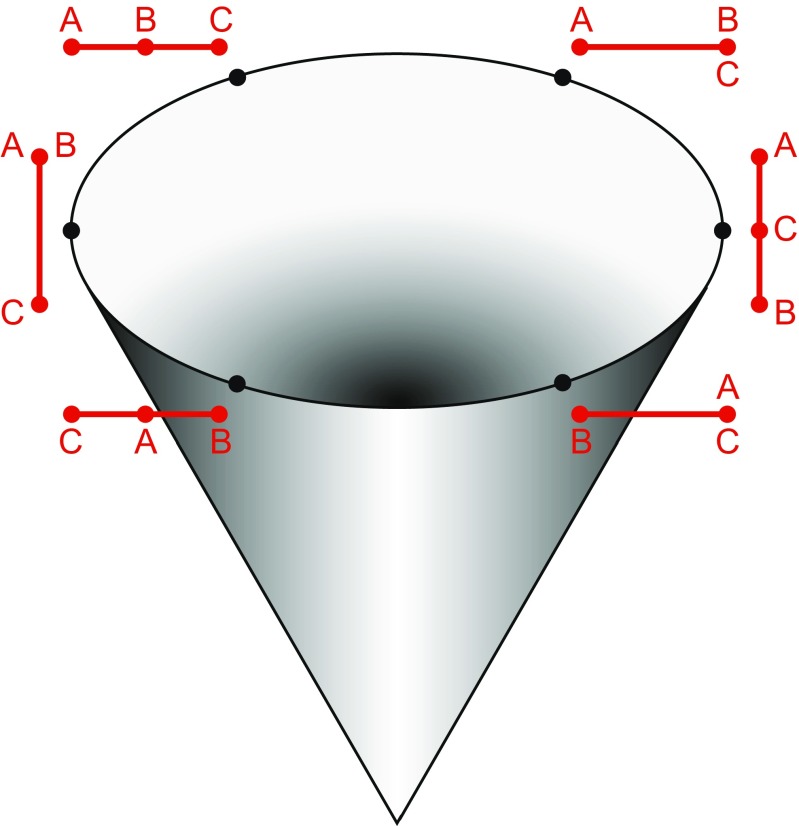 Fig. 12