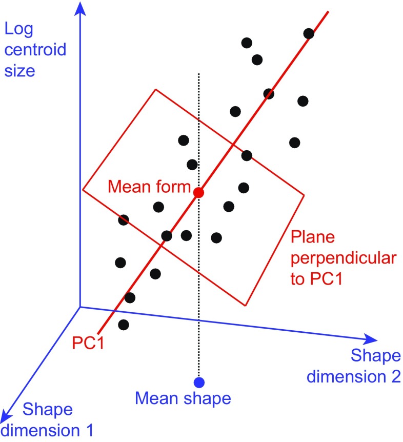 Fig. 10