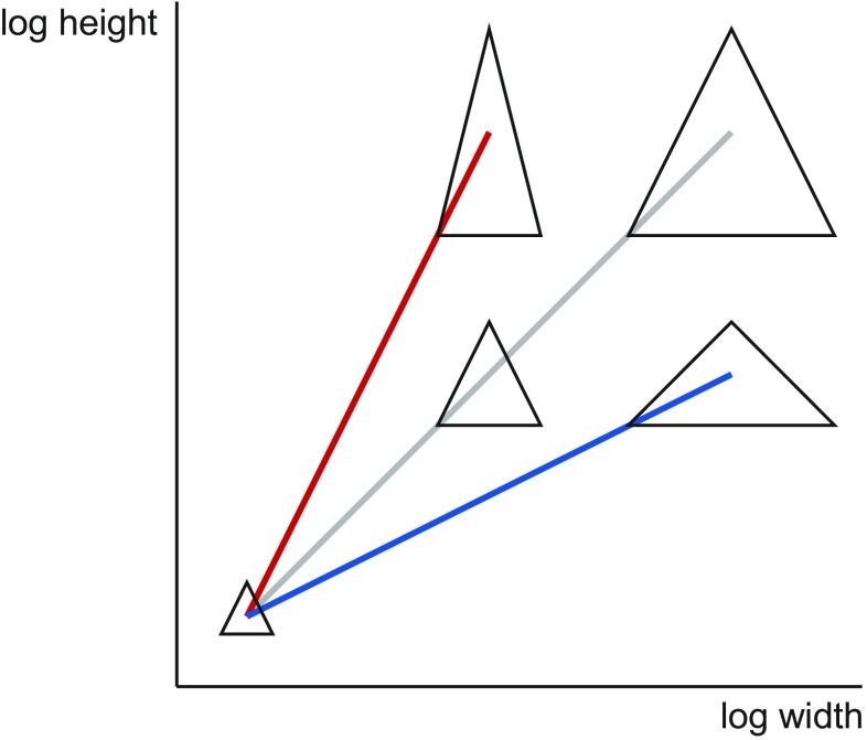 Size, shape, and form: concepts of allometry in geometric morphometrics ...