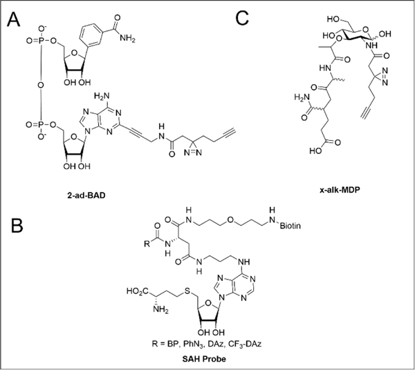 Figure 6.