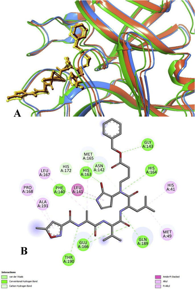 Fig. 1