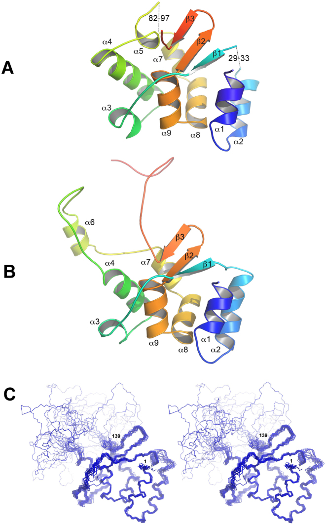 Figure 2.