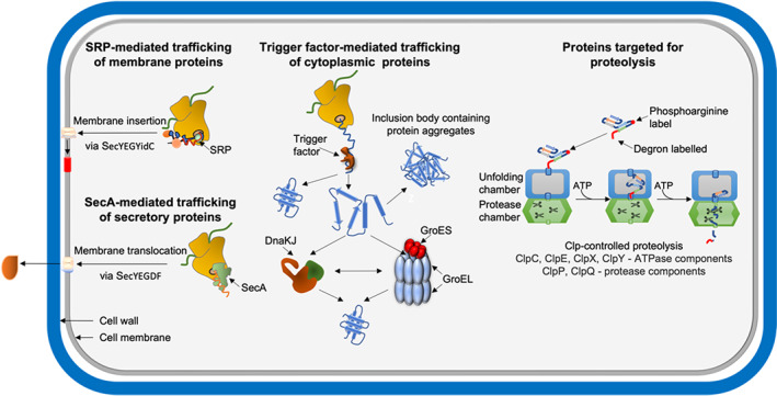 FIGURE 3