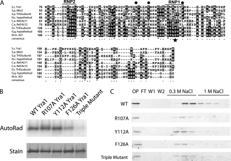 FIGURE 4.