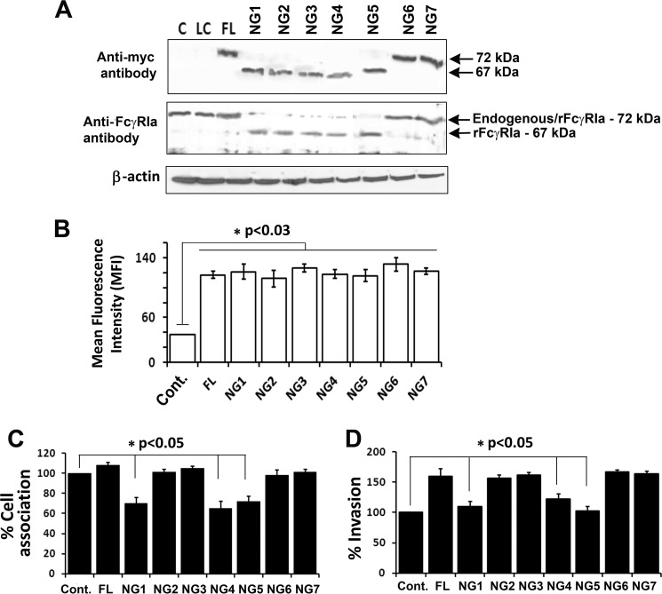 FIGURE 1.