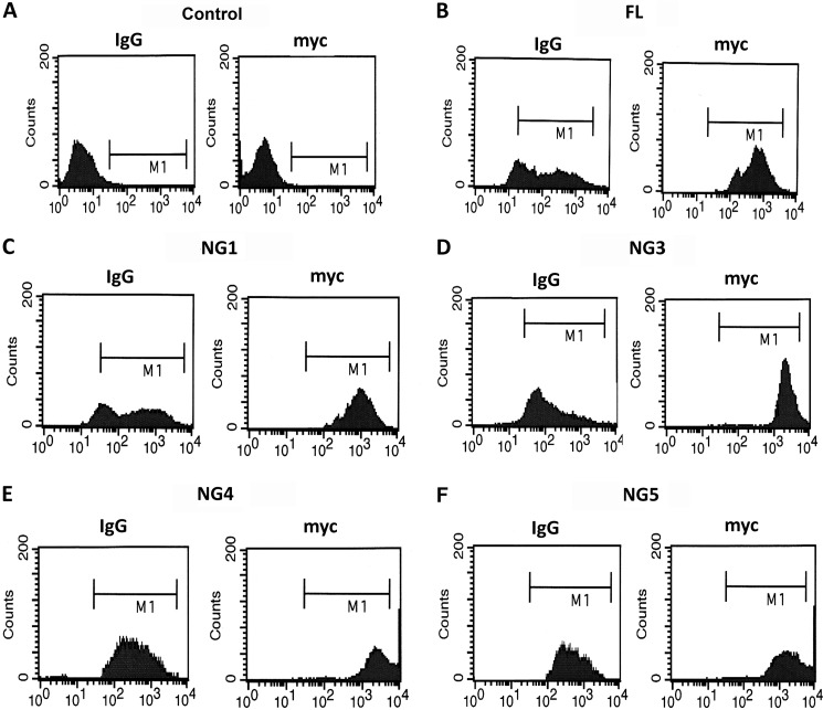 FIGURE 2.